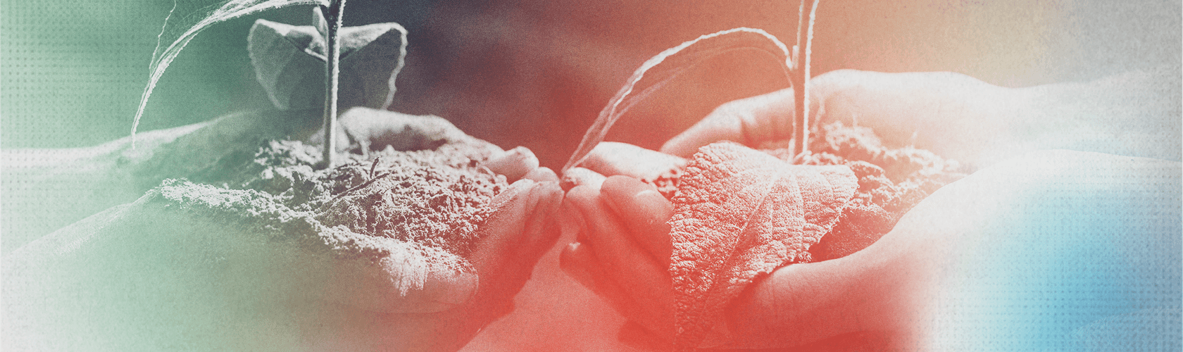 FLACSO FICAL Banner -Ambiente