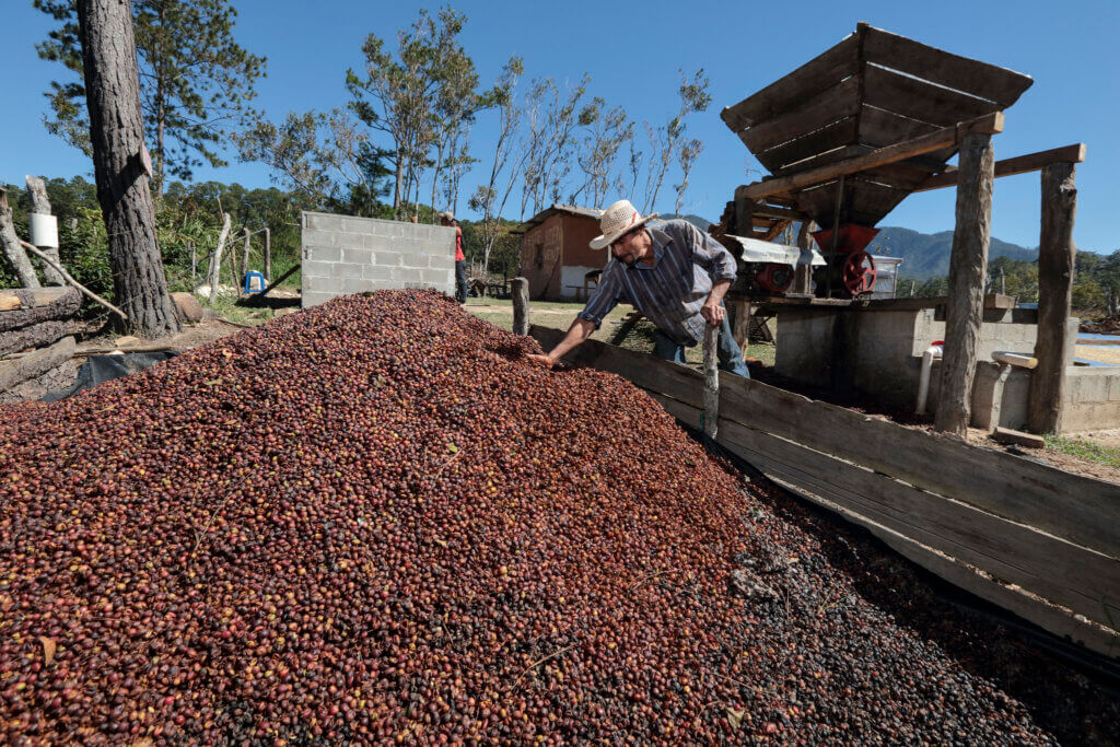 Honduras aumentará su relación comercial con China