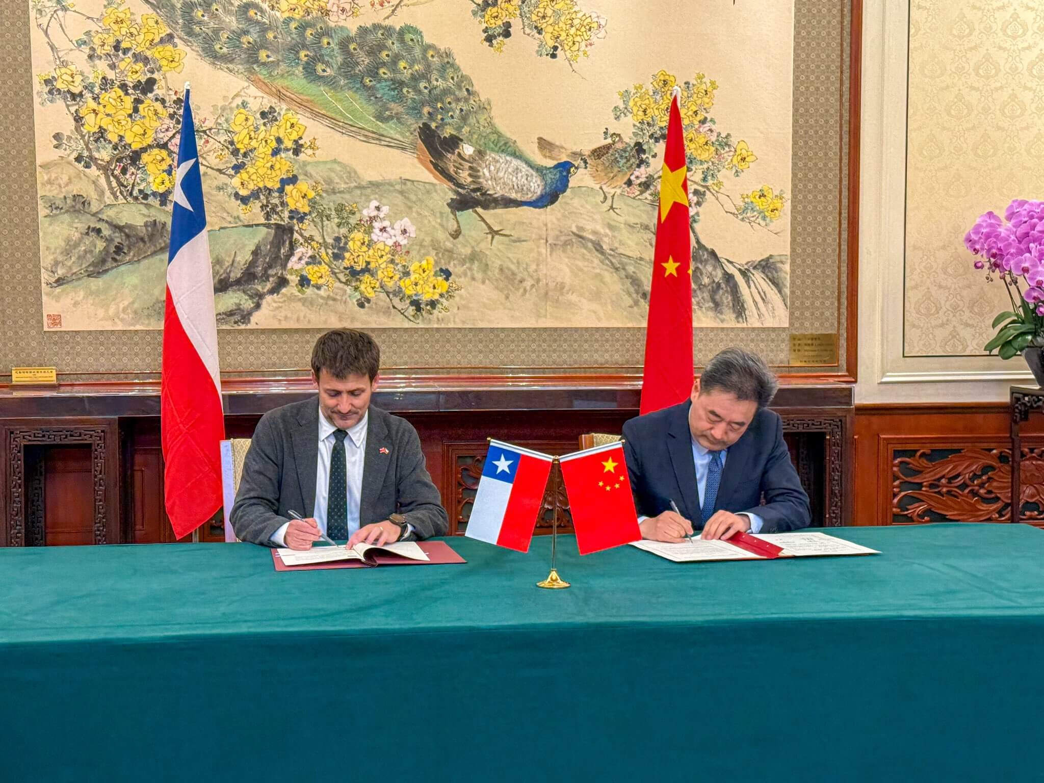 Representantes de Chile y China se reunenieron para dialogar acerca de las energías renovables