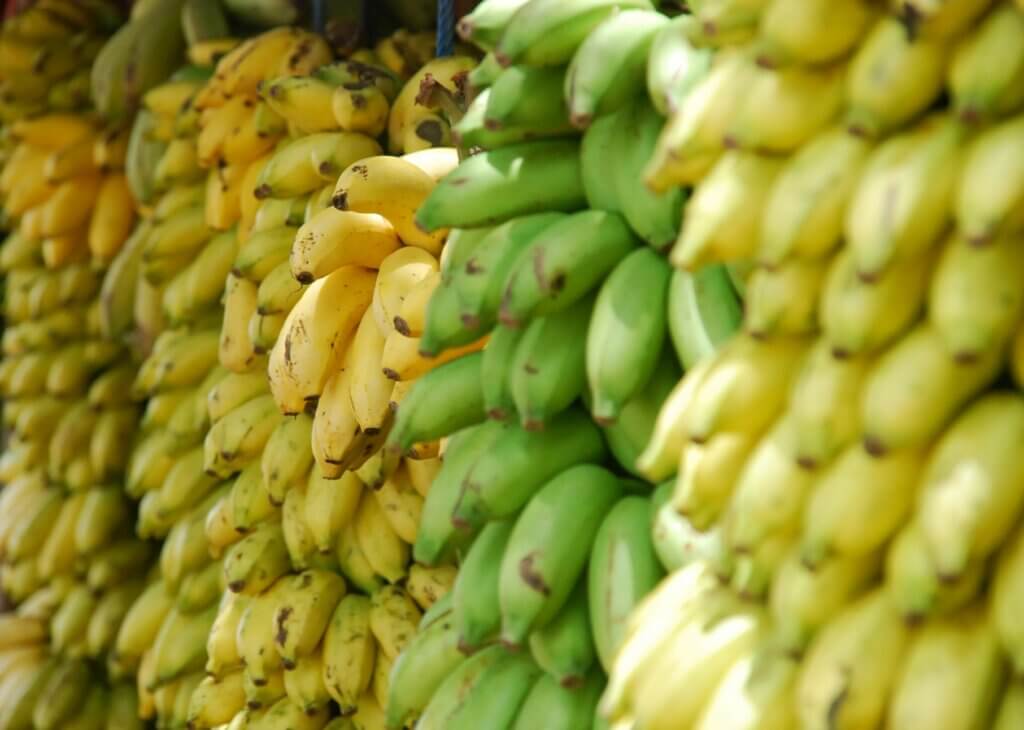 Crecen más de un 30% las exportaciones de banano ecuatoriano a China en lo que va de 2025