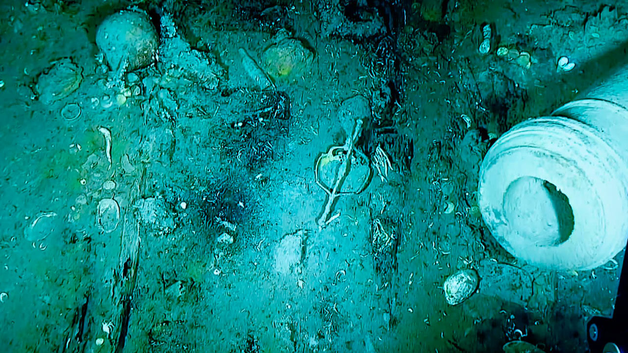 Hallan en Colombia porcelana china Kangxi intacta en el Galeón San José