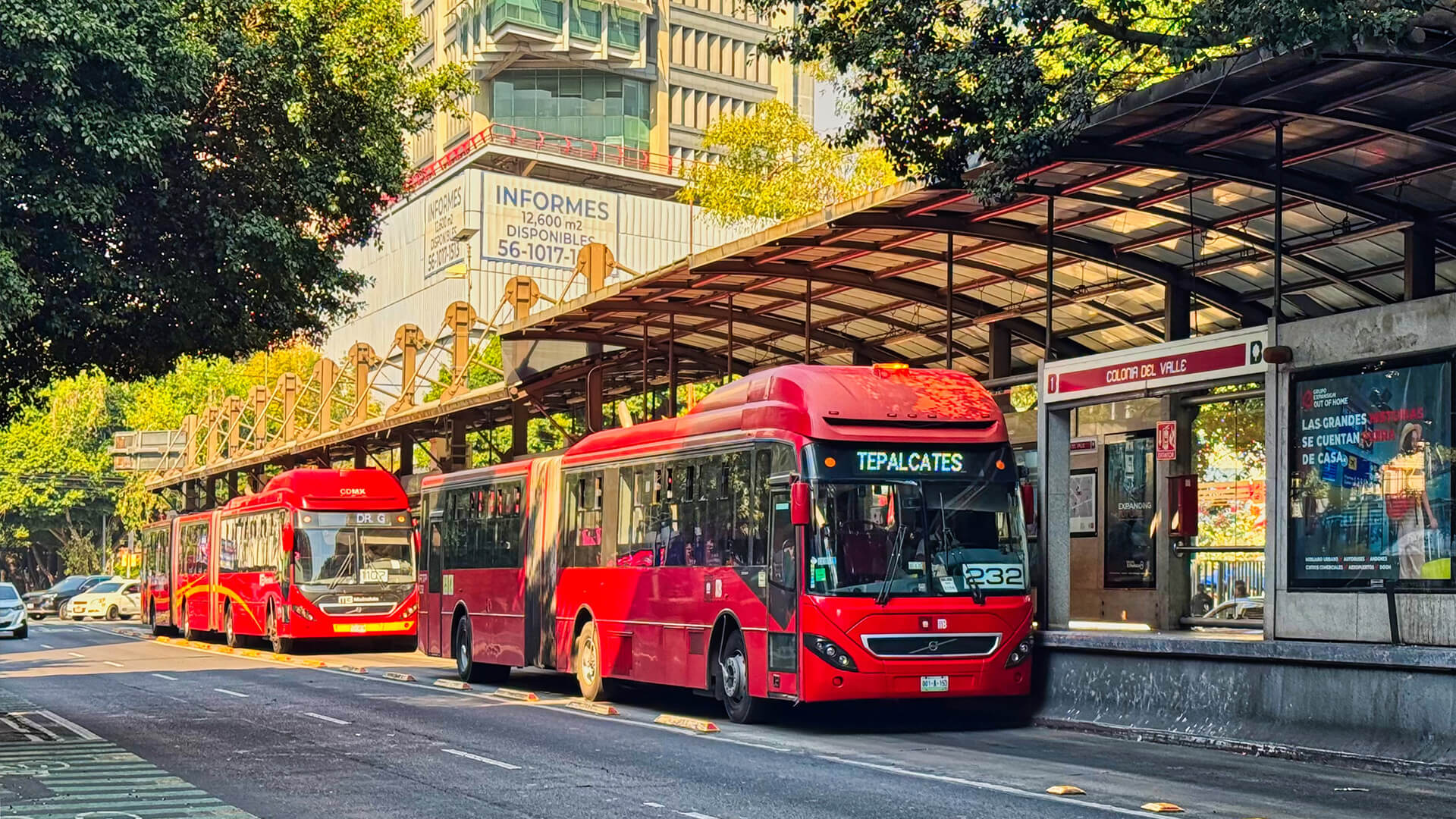 Autos chinos en México: del mercado a la fábrica